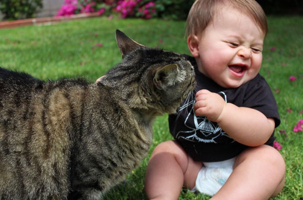 Baby Playing With Cat