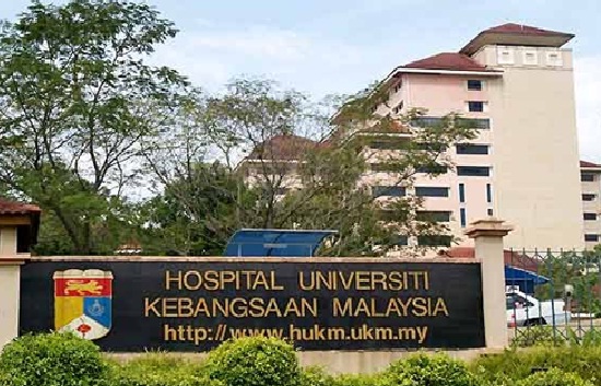 Anggaran Kos Bersalin Normal Dan Caesarean Di Hospital Kerajaan Swasta Lembah Klang Pamapedia
